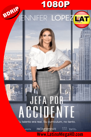 Jefa por Accidente (2018) Latino HD BDRIP 1080P ()